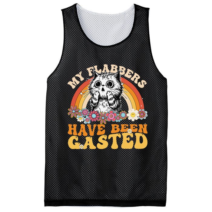 Funny Cat Meme My Flabbers Have Been Gasted Mesh Reversible Basketball Jersey Tank