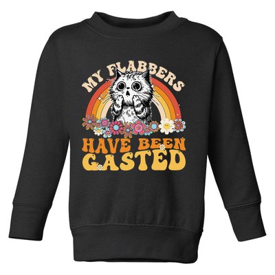 Funny Cat Meme My Flabbers Have Been Gasted Toddler Sweatshirt