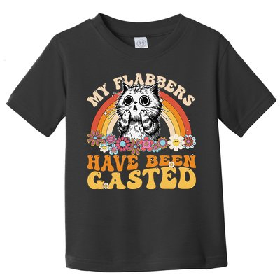 Funny Cat Meme My Flabbers Have Been Gasted Toddler T-Shirt