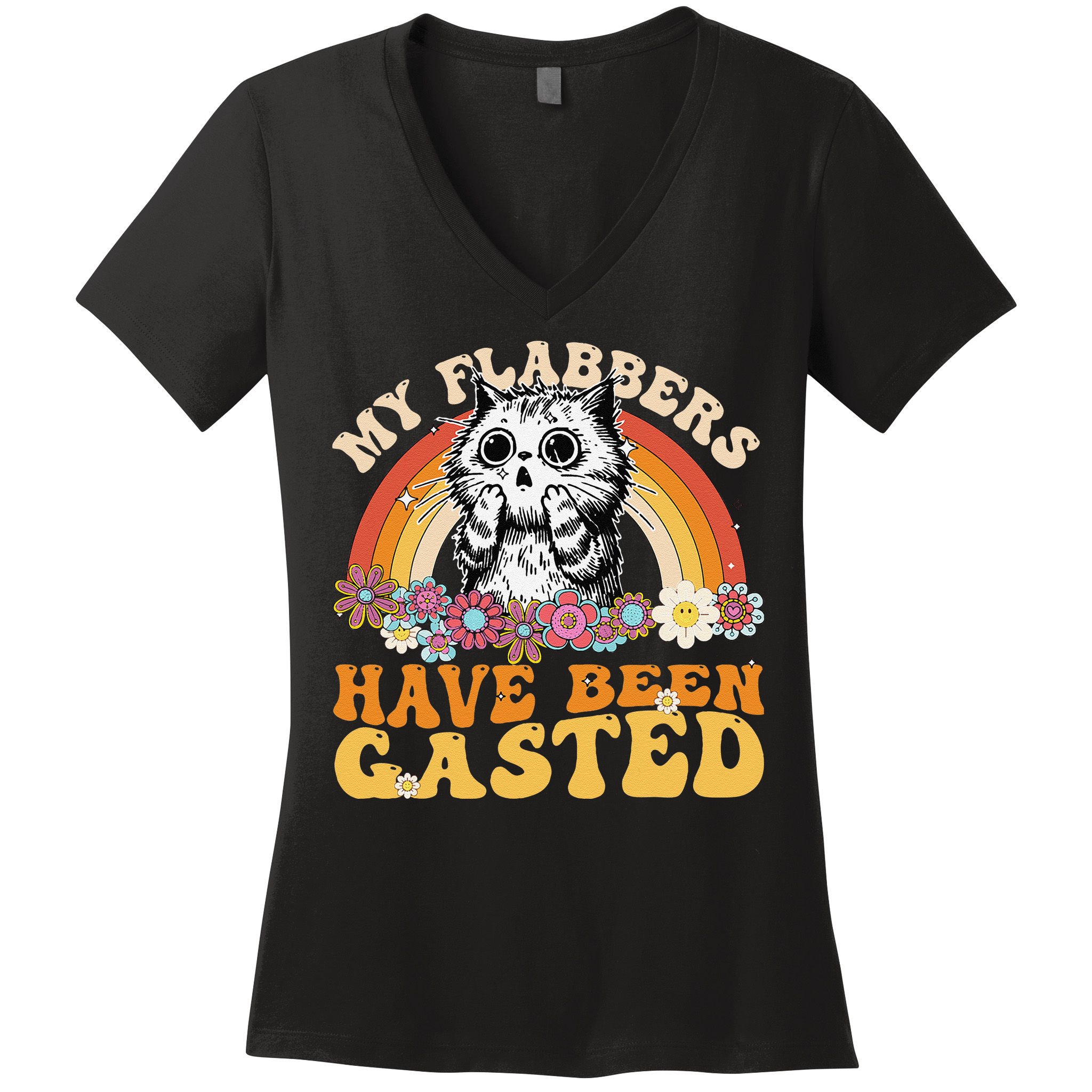Funny Cat Meme My Flabbers Have Been Gasted Women's V-Neck T-Shirt
