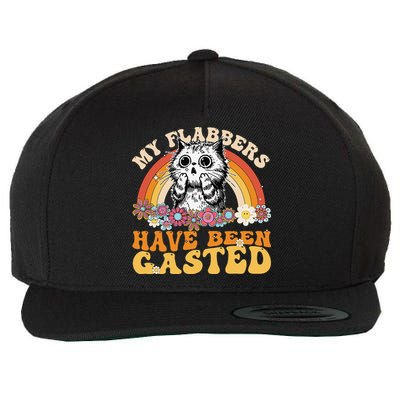 Funny Cat Meme My Flabbers Have Been Gasted Wool Snapback Cap