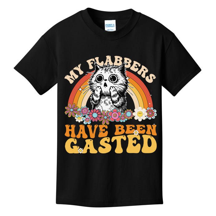 Funny Cat Meme My Flabbers Have Been Gasted Kids T-Shirt