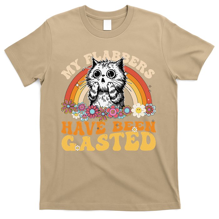 Funny Cat Meme My Flabbers Have Been Gasted T-Shirt