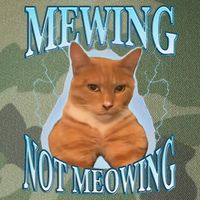 Funny Cat Meme With Meowing Looksmax Meowing Cat Legacy Tie Dye Trucker Hat