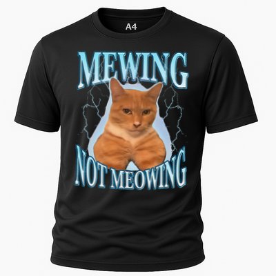 Funny Cat Meme With Meowing Looksmax Meowing Cat Performance Shirt