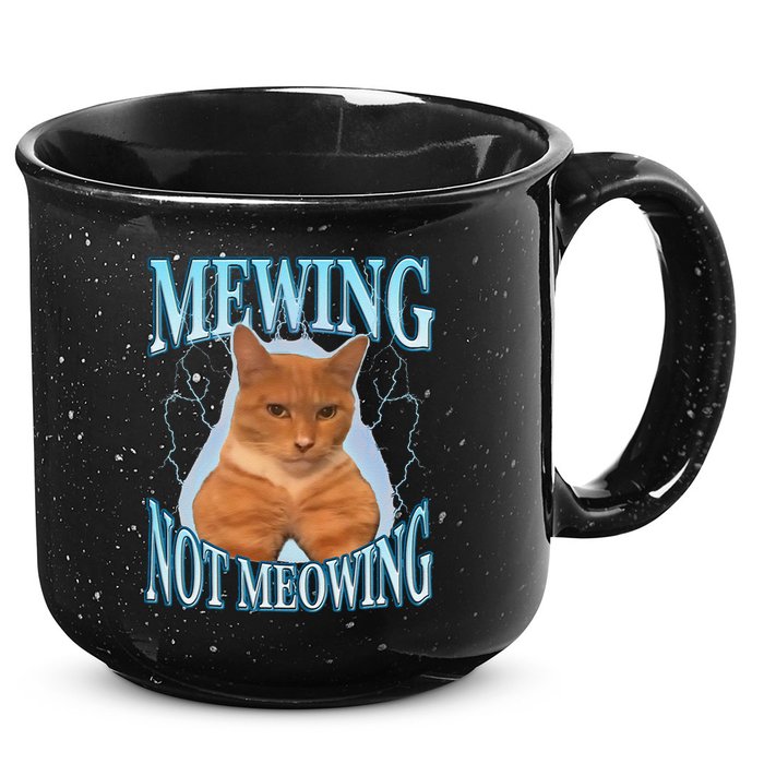 Funny Cat Meme With Meowing Looksmax Meowing Cat 15oz Campfire Ceramic Mug