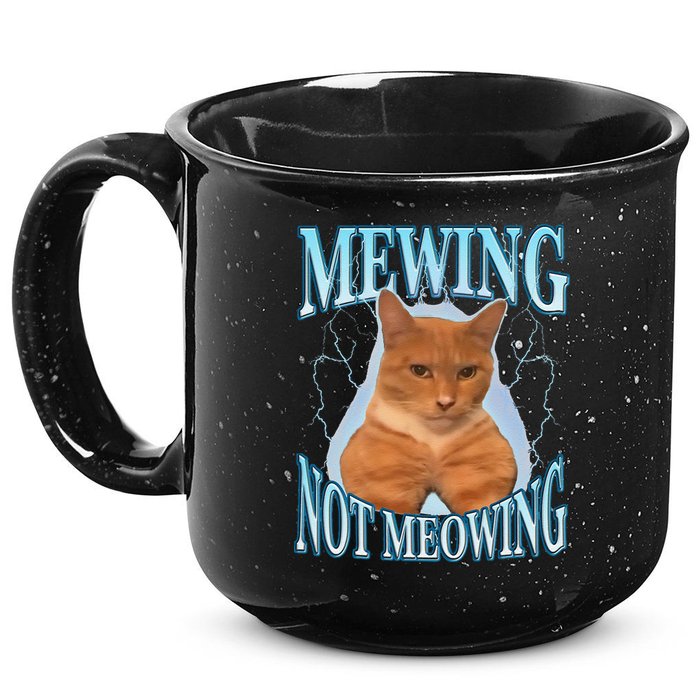 Funny Cat Meme With Meowing Looksmax Meowing Cat 15oz Campfire Ceramic Mug