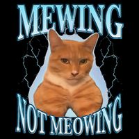 Funny Cat Meme With Meowing Looksmax Meowing Cat 16 in Basic Backpack