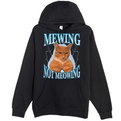 Funny Cat Meme With Meowing Looksmax Meowing Cat Premium Pullover Hoodie