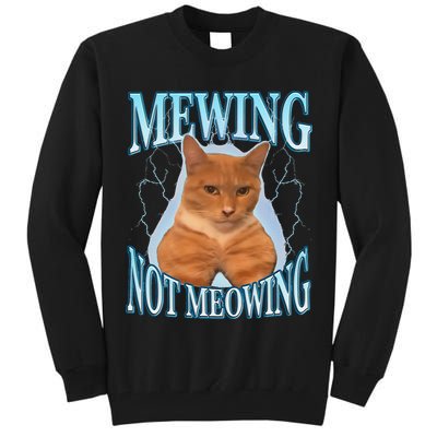 Funny Cat Meme With Meowing Looksmax Meowing Cat Tall Sweatshirt