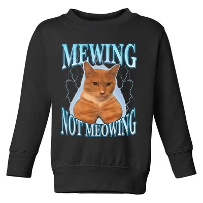 Funny Cat Meme With Meowing Looksmax Meowing Cat Toddler Sweatshirt
