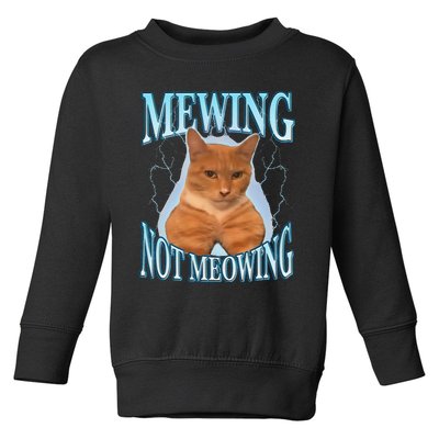 Funny Cat Meme With Meowing Looksmax Meowing Cat Toddler Sweatshirt