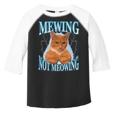 Funny Cat Meme With Meowing Looksmax Meowing Cat Toddler Fine Jersey T-Shirt