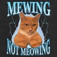Funny Cat Meme With Meowing Looksmax Meowing Cat Golf Towel