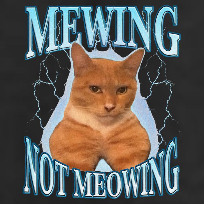 Funny Cat Meme With Meowing Looksmax Meowing Cat Golf Towel