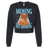 Funny Cat Meme With Meowing Looksmax Meowing Cat Cropped Pullover Crew