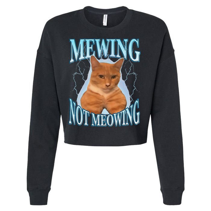 Funny Cat Meme With Meowing Looksmax Meowing Cat Cropped Pullover Crew