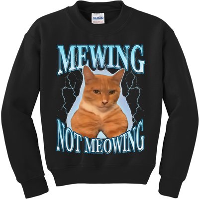 Funny Cat Meme With Meowing Looksmax Meowing Cat Kids Sweatshirt