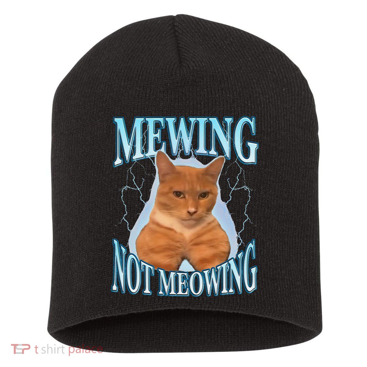 Funny Cat Meme With Meowing Looksmax Meowing Cat Short Acrylic Beanie