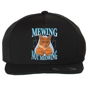 Funny Cat Meme With Meowing Looksmax Meowing Cat Wool Snapback Cap