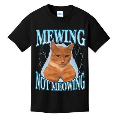 Funny Cat Meme With Meowing Looksmax Meowing Cat Kids T-Shirt