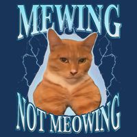 Funny Cat Meme With Meowing Looksmax Meowing Cat Infant Baby Jersey Bodysuit