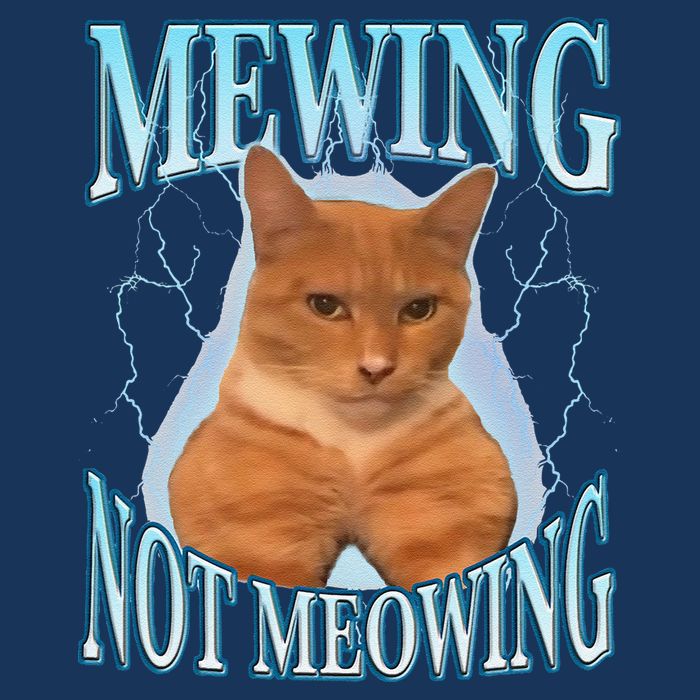 Funny Cat Meme With Meowing Looksmax Meowing Cat Infant Baby Jersey Bodysuit