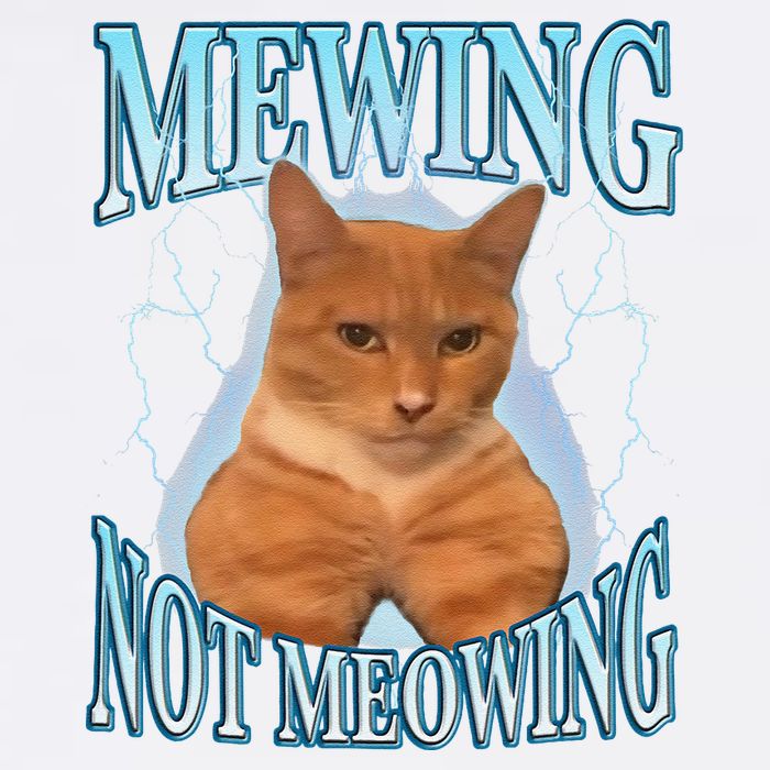 Funny Cat Meme With Meowing Looksmax Meowing Cat Garment-Dyed Sweatshirt