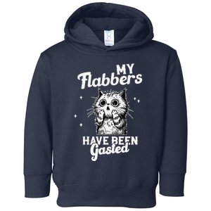 Funny Cat Meme My Flabbers Have Been Gasted Toddler Hoodie