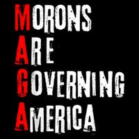 Funny Cool Morons Are Governing America Cooling Performance Crew T-Shirt