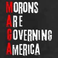Funny Cool Morons Are Governing America 11oz C Handle Ceramic Mug