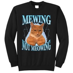 Funny Cat Meme Mewing LooksMax Meowing cat Trend Sweatshirt