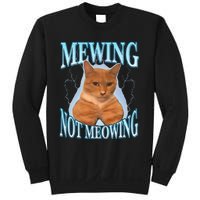 Funny Cat Meme Mewing LooksMax Meowing cat Trend Sweatshirt