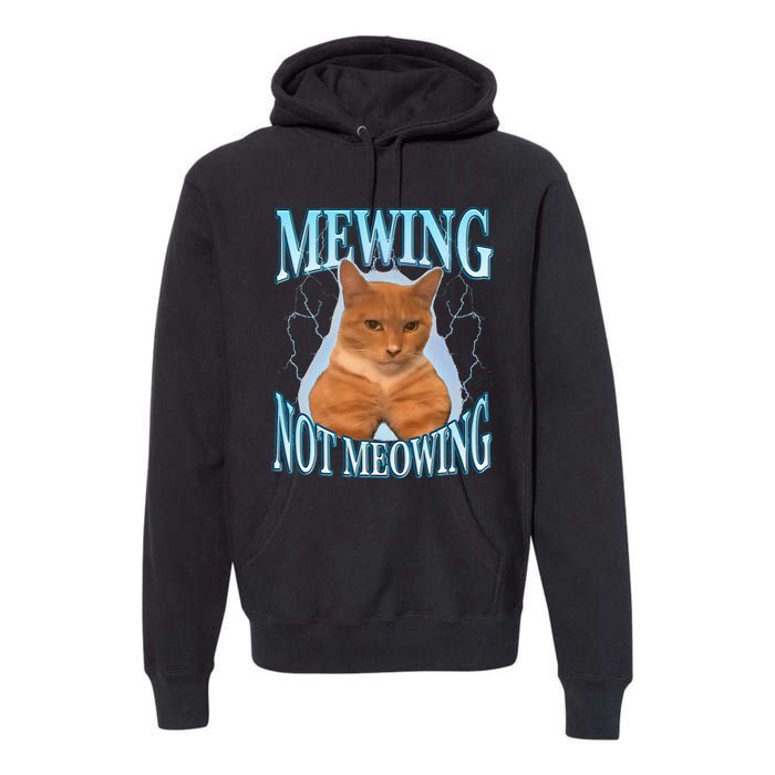 Funny Cat Meme Mewing LooksMax Meowing cat Trend Premium Hoodie