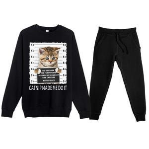 Funny Catnip Made Me Do It Cat Lover Gift Women Premium Crewneck Sweatsuit Set