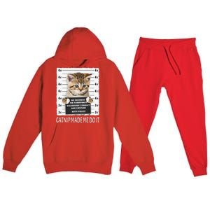 Funny Catnip Made Me Do It Cat Lover Gift Women Premium Hooded Sweatsuit Set