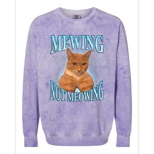 Funny Cat Meme Mewing Looksmax Meowing Cat Trend Colorblast Crewneck Sweatshirt