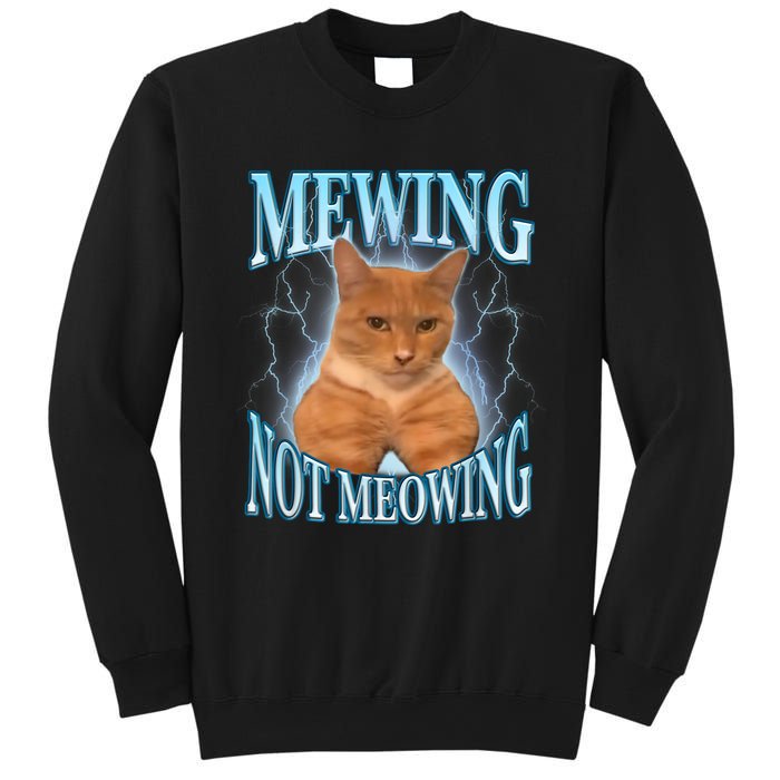 Funny Cat Meme Mewing Looksmax Meowing Cat Trend Sweatshirt