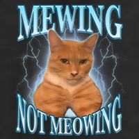 Funny Cat Meme Mewing Looksmax Meowing Cat Trend 15oz Campfire Ceramic Mug