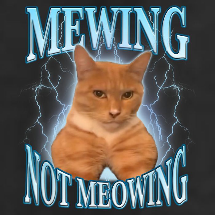Funny Cat Meme Mewing Looksmax Meowing Cat Trend 15oz Campfire Ceramic Mug