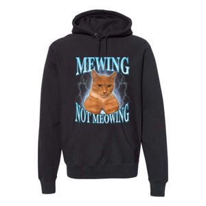 Funny Cat Meme Mewing Looksmax Meowing Cat Trend Premium Hoodie