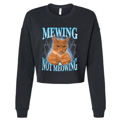 Funny Cat Meme Mewing Looksmax Meowing Cat Trend Cropped Pullover Crew