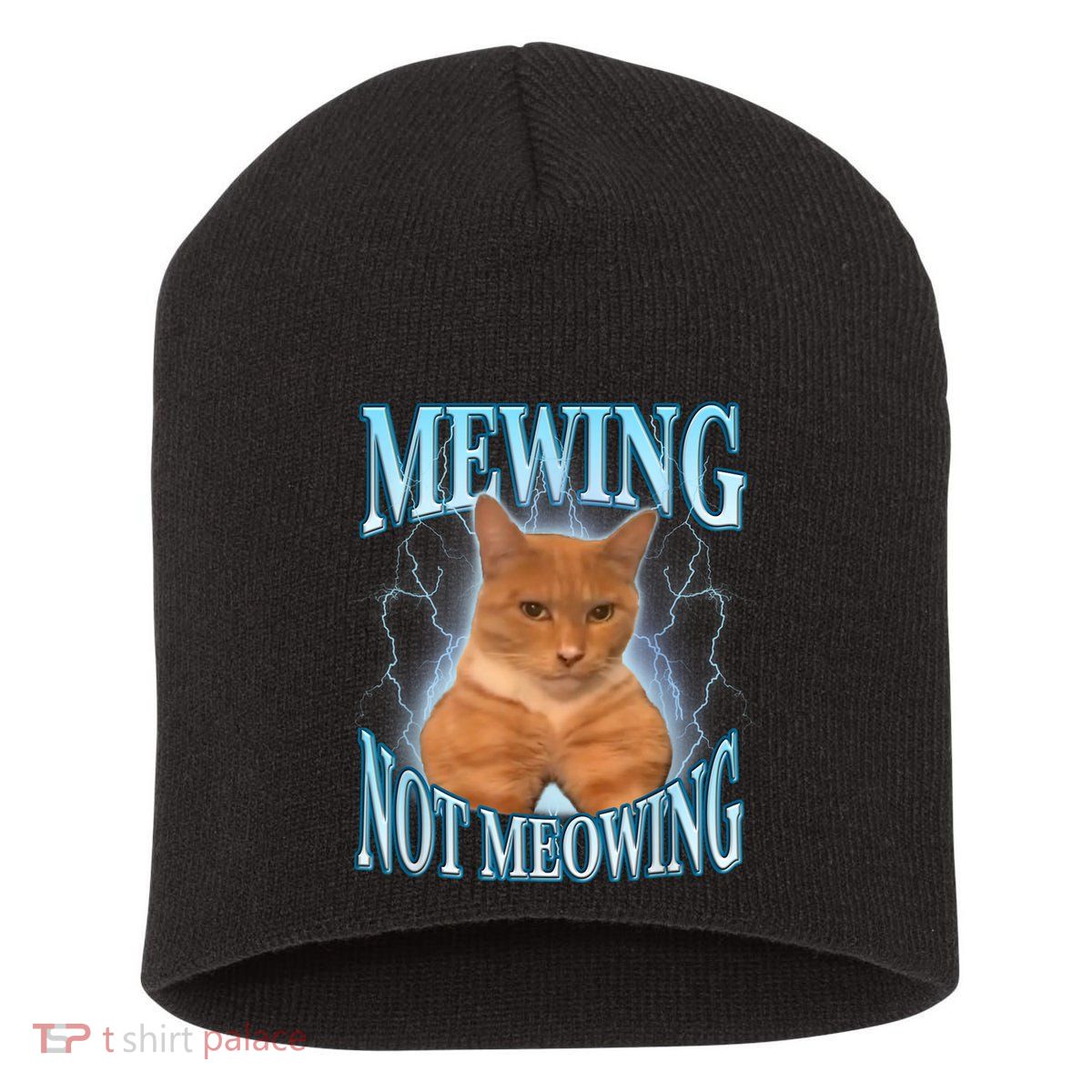 Funny Cat Meme Mewing Looksmax Meowing Cat Trend Short Acrylic Beanie