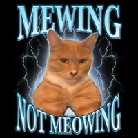Funny Cat Meme Mewing Looksmax Meowing Cat Trend Short Acrylic Beanie