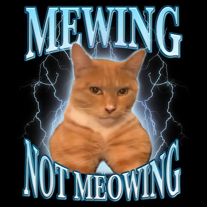 Funny Cat Meme Mewing Looksmax Meowing Cat Trend Zip Tote Bag