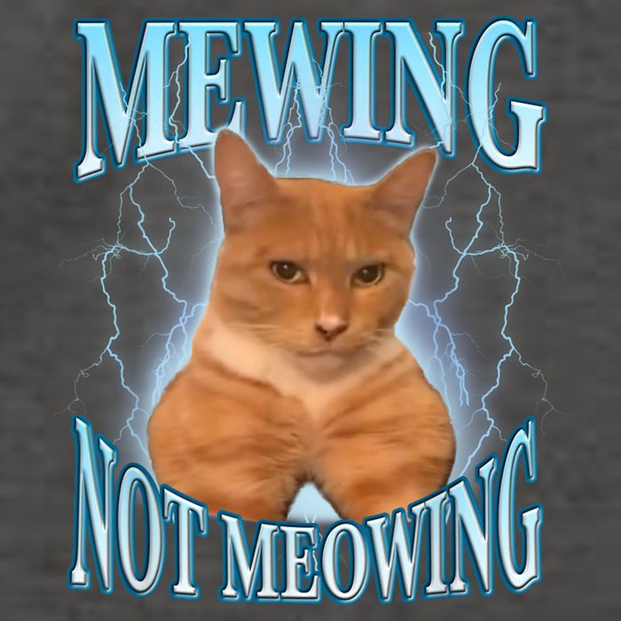 Funny Cat Meme Mewing Looksmax Meowing Cat Trend Vector Backpack