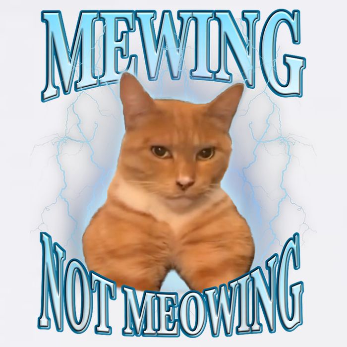 Funny Cat Meme Mewing Looksmax Meowing Cat Trend Garment-Dyed Sweatshirt