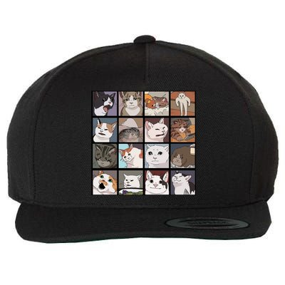 Funny Cats Meme Wool Snapback Cap