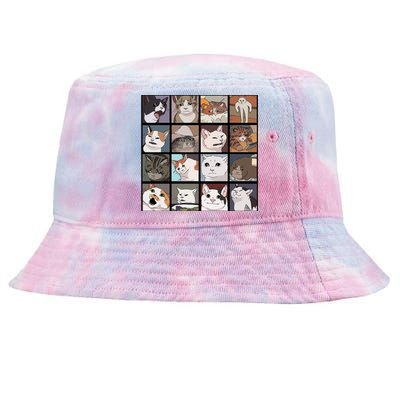 Funny Cats Meme Tie-Dyed Bucket Hat