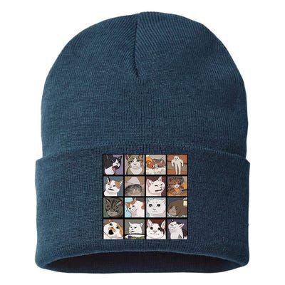 Funny Cats Meme Sustainable Knit Beanie